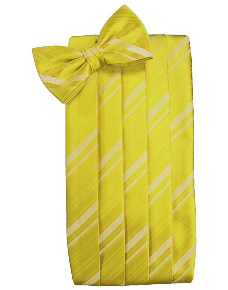 Cardi Willow Striped Satin Cummerbund