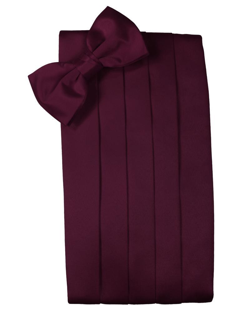 Cardi Wine Luxury Kids Satin Cummerbund