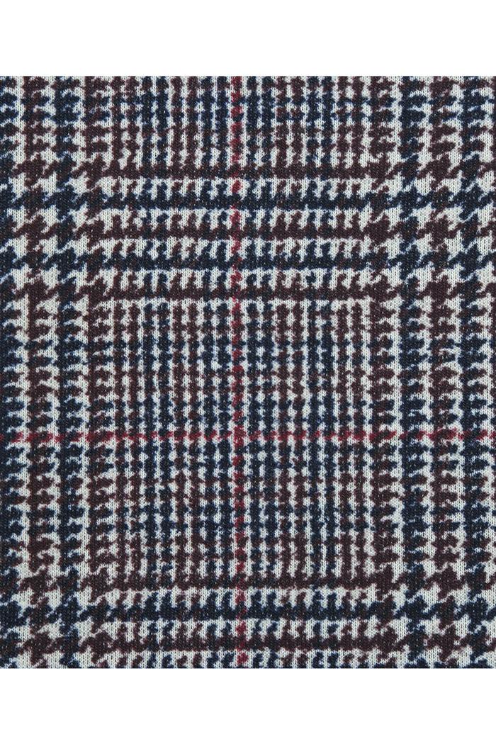 Light Grey Windowpane Sports Jacket