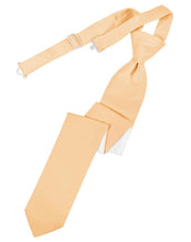Load image into Gallery viewer, Cardi Pre-Tied Apricot Luxury Satin Skinny Necktie
