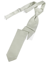 Load image into Gallery viewer, Cardi Pre-Tied Platinum Luxury Satin Skinny Necktie