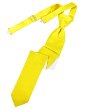 Load image into Gallery viewer, Cardi Pre-Tied Sunbeam Luxury Satin Skinny Necktie