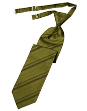 Load image into Gallery viewer, Cardi Pre-Tied Fern Striped Satin Necktie