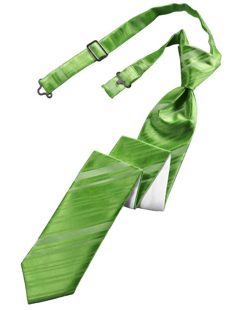 Cardi Pre-Tied Kelly Striped Satin Skinny Necktie