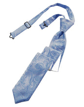 Load image into Gallery viewer, Cardi Pre-Tied Cornflower Tapestry Skinny Necktie