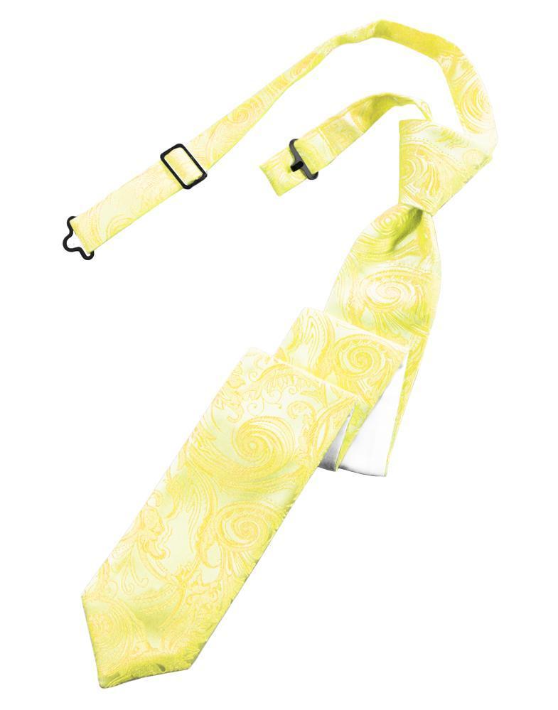 Cardi Pre-Tied Sunbeam Tapestry Skinny Necktie