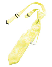 Load image into Gallery viewer, Cardi Pre-Tied Sunbeam Tapestry Skinny Necktie