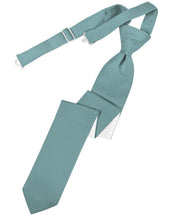 Load image into Gallery viewer, Cardi Pre-Tied Mist Luxury Satin Skinny Necktie