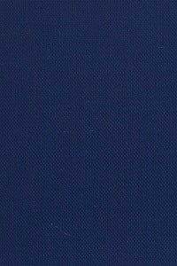Paul Betenly Paul Betenly "Ronaldo" Blue Birdseye Slim Fit Blazer