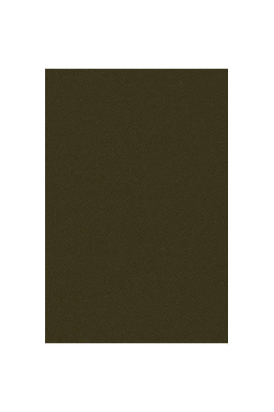 Prontomoda Prontomoda Solid Olive Suit